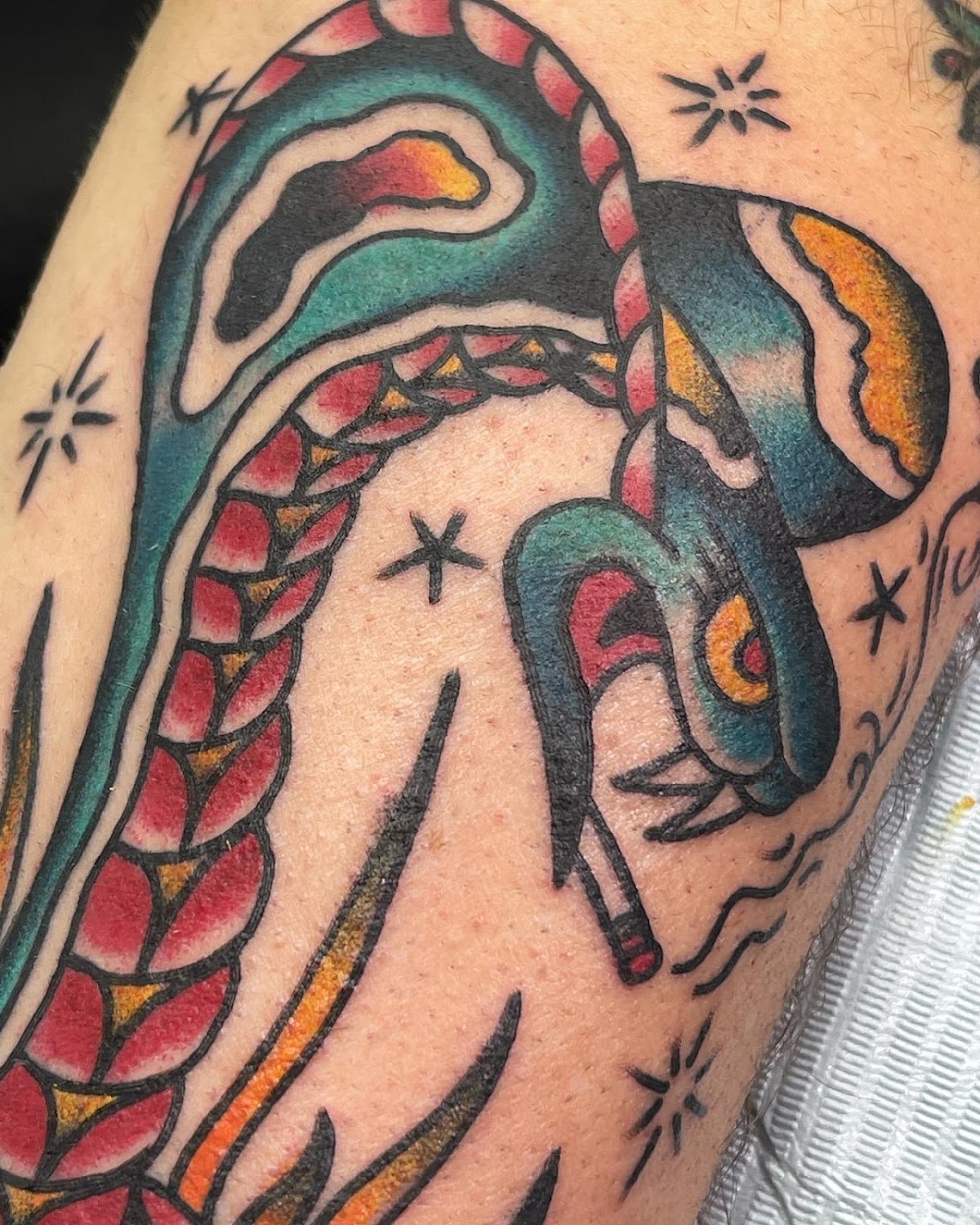 Inner Harbour Tattoo work — traditional snake tattoo in teal and red
