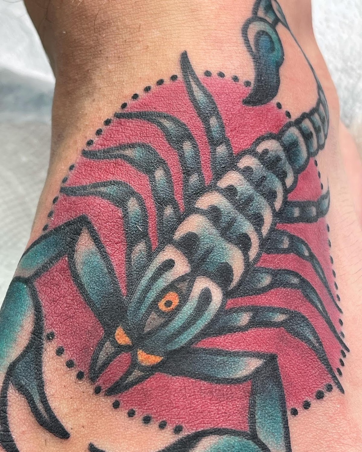 Inner Harbour Tattoo — traditional scorpion tattoo in teal with red background